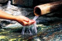 foto©zupanc_kaernten_werbung Strandpension Waldperle © Fotograf Daniel Zupanc